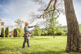 Landscape Design and Installation in Serenada, TX